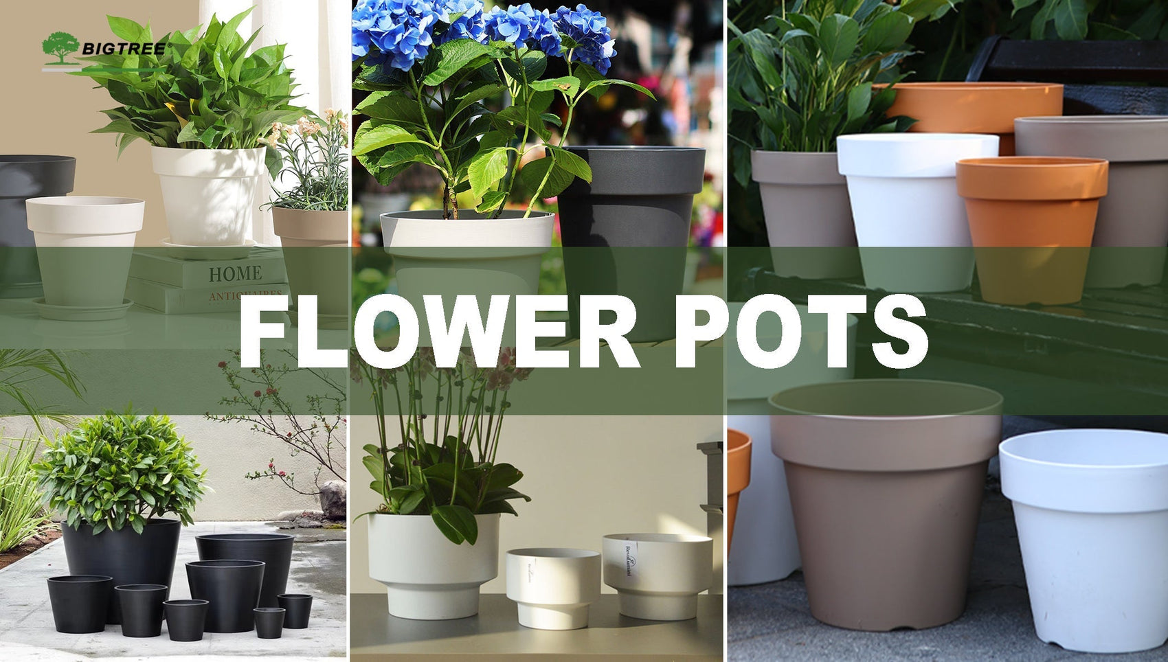 Flower Pots