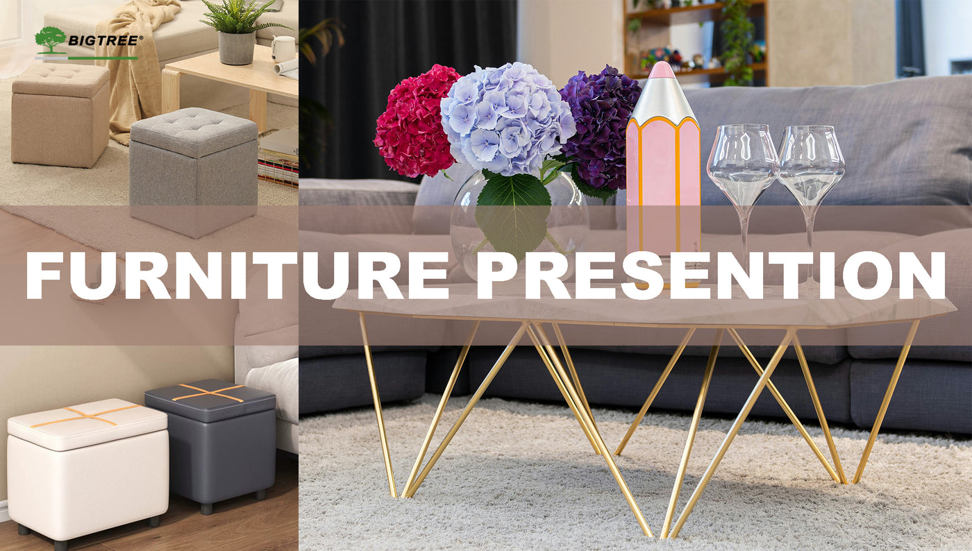 Home-Furnitures presention