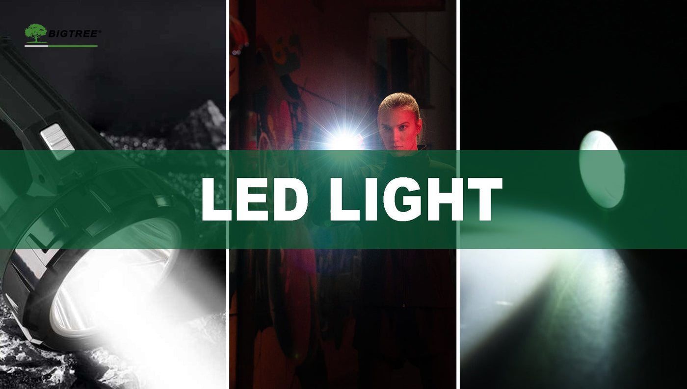 LED LIGHT