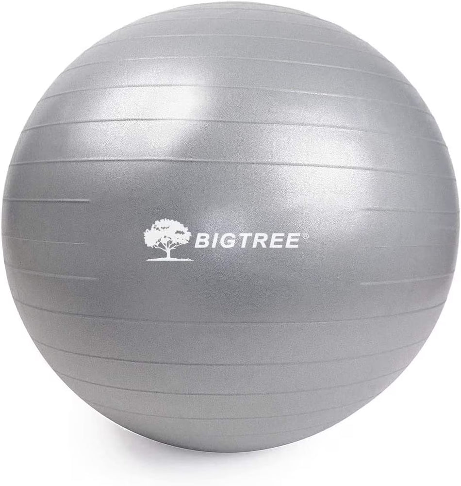BIGTREE Yoga Ball Exercise Fitness Core Stability Balance Strength Anti-Burst Heavy Duty GRAY Prenatal Birthing Yogaball Office Home Gym, 29.5" (75CM)