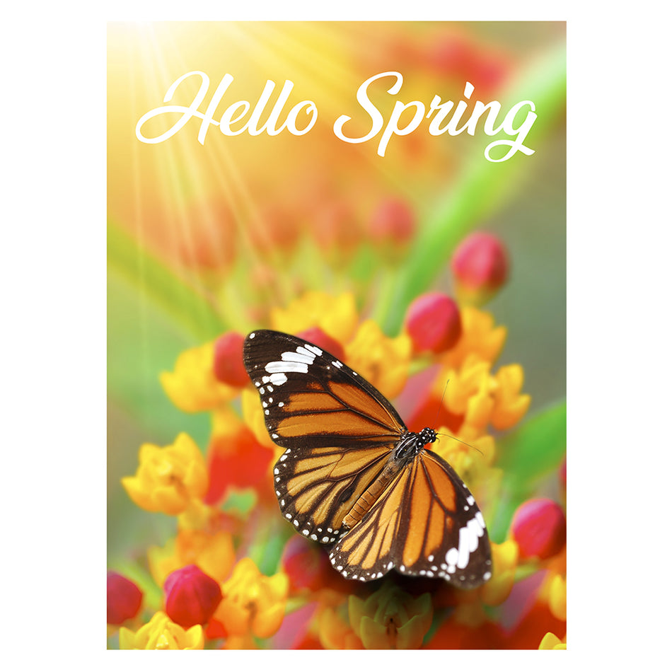 SM Garden Flag - 'Hello Spring' Monarch Butterfly & Floral Design, Durable Polyester Flag for Outdoor Spring Yard Decor