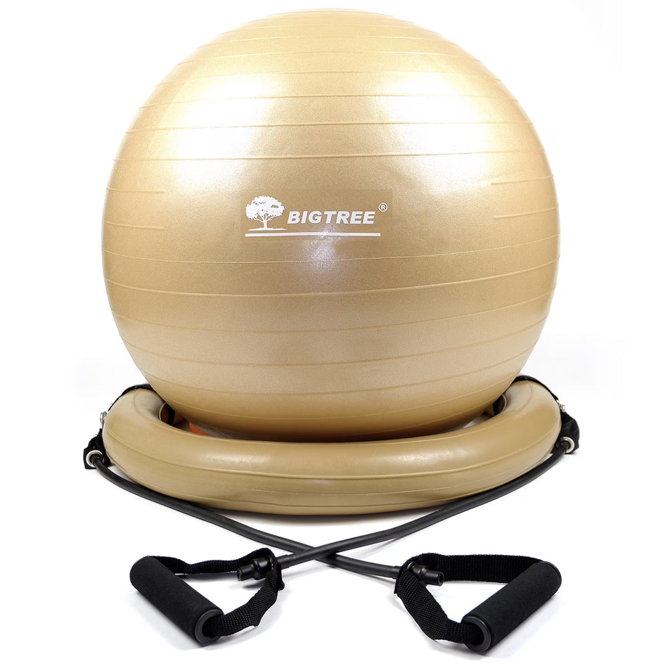 BIGTREE Exercise Ball Chair with Resistance Bands, Perfect for Office, Yoga, Balance, Fitness, Super Strong, Set Includes Stable Base, Pump 65cm