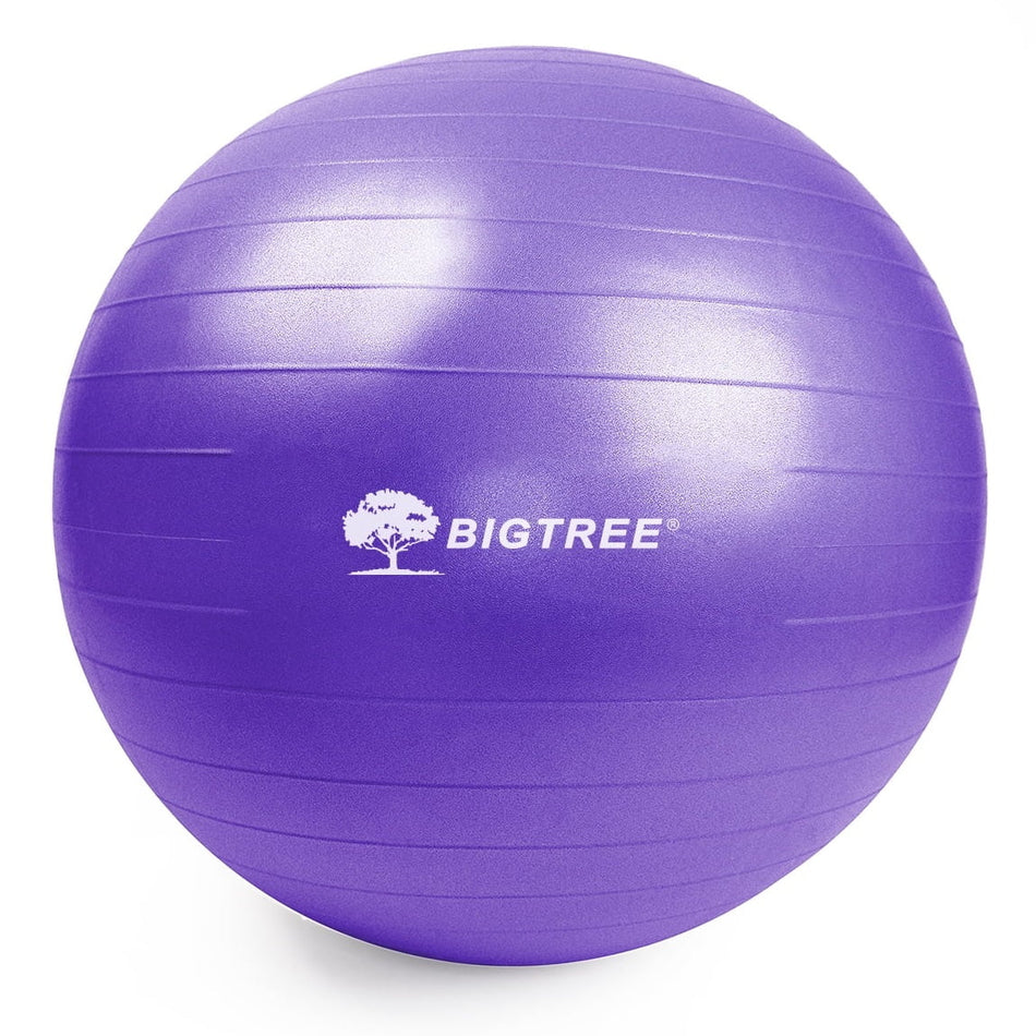 BIGTREE Yoga Ball Exercise Fitness Core Stability Balance Strength Anti-Burst Heavy Duty Purple Prenatal Birthing Yogaball 25.5″ (65cm)