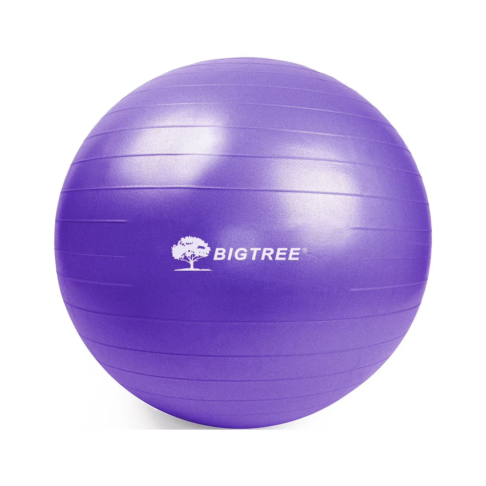 BIGTREE Yoga Ball Exercise Core Stability Strength Anti-Burst Heavy Duty Purple 29.5″ (75cm)