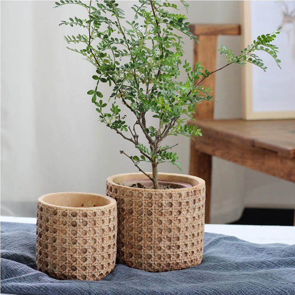 Boho Woven Texture Ceramic Planter, Indoor Plant Pot with Drainage