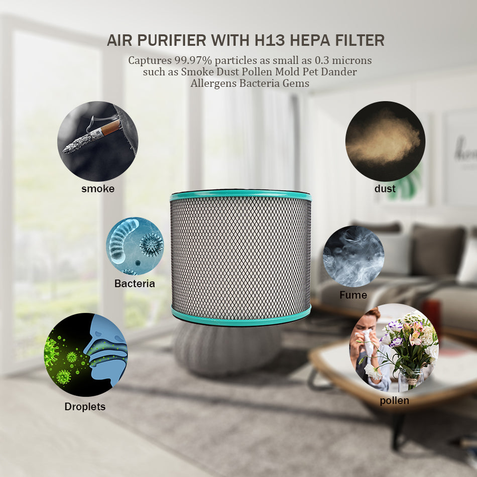 H13 True HEPA Replacement Filter, 3-in-1 Activated Carbon Air Purifier Filter