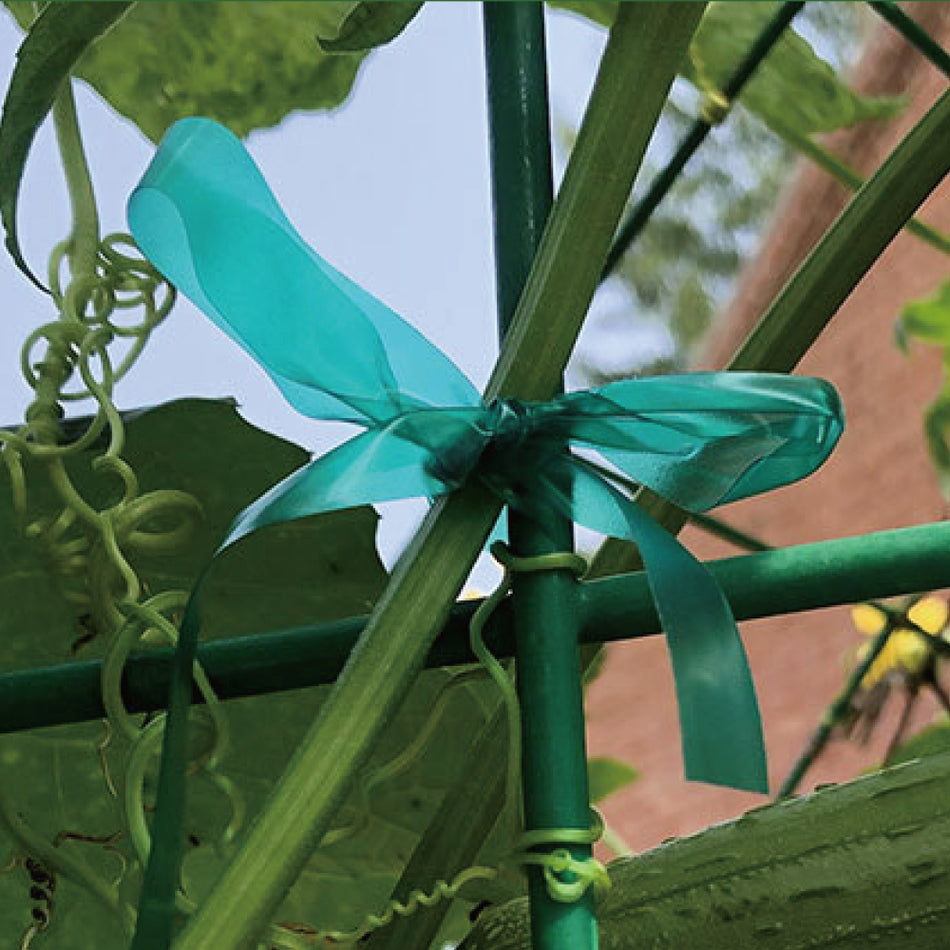 BIGTREE Plant Tie 150ft x 1/2"